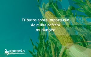 Tributos Sobre Importacao De Milho Sofrem Mudancas Perfeicao - Contabilidade no Rio de Janeiro - RJ │ Perfeição Contabilidade