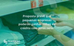 Proposta Prevê Que Pequenas Empresas Poderão Ganhar Linhas De Crédito Com Juros Zero Perfeicao (1) - Contabilidade no Rio de Janeiro - RJ │ Perfeição Contabilidade