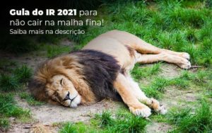 Guia Ir 2021 Para Nao Cair Na Malha Fina Saiba Mais Na Descricao Post 1 Organização Contábil Lawini - Contabilidade no Rio de Janeiro - RJ │ Perfeição Contabilidade