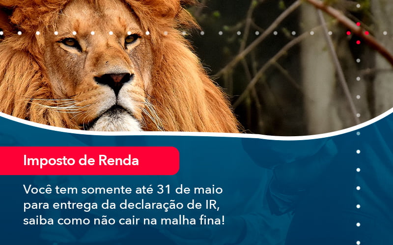 Voce Tem Somente Ate 31 De Maio Para Entrega Da Declaracao De Ir Saiba Como Nao Cair Na Malha Fina 1 - Contabilidade no Rio de Janeiro - RJ │ Perfeição Contabilidade